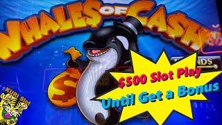 UNITL GET A BONUS !!!Put in $500 and Play until a Bonus Comes !WHALES  OF CASH DELUXE Slot