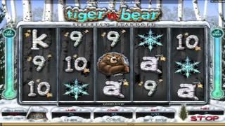 Tiger Vs Bear  free slots machine game preview by Slotozilla.com