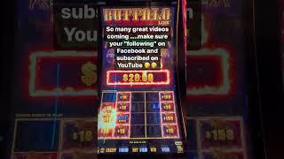 Buffalo Link is my   #slots #slotqueen #casino #gambling #handpay