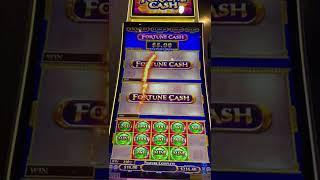 Fortune Cash BIG BET BIG WIN! #shorts