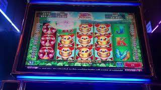 THE BEES PAID!  I needed the 5th REEL for a MONSTER HIT! Sizzling Slot Jackpots CASINO Videos