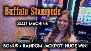 Extremely Rare Random JACKPOT on Buffalo Stampede!! MASSIVE WIN!!