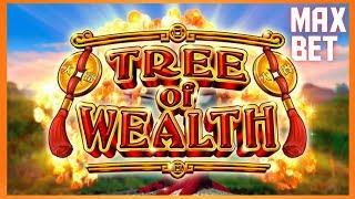 BIGGEST MAJOR JACKPOT I HAVE EVER SEEN! $8.80 MAX BET | BONUS | TREES OF WEALTH