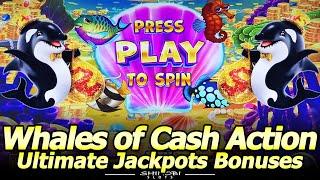 Whales of Cash Ultimate Jackpots Bonuses - Live Play and Free Spins at Yaamava Casino!