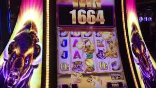 Buffalo Grand Slot Machine Free Spin Bonus Aria Casino Las Vegas 8-17