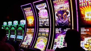 Buffalo Grand Slot Machine - New Game - Quick Teaser