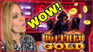 BUFFALO GOLD COLLECTION HUGE WIN WITH A GLITCH!