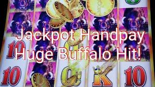 *Jackpot Handpay** Huge Buffalo Hit** Rare* 5 coin trigger and more! Buffalo Grand Slot machine.
