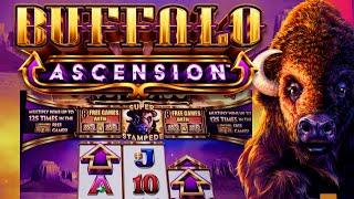 BUFFALO ASCENSION RARE DOUBLE ARROWS LANDED!! 3x 5x Big Win Free Games!