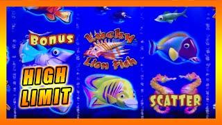 $50 A SPIN!!  HIGH LIMIT LUCKY LION FISH  HANDPAY POTENTIAL!  HIGH LIMIT LIVE SLOT PLAY