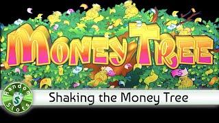 Money Tree slot machine, Bonus