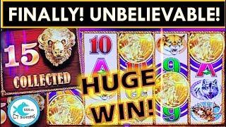 IT FINALLY HAPPENED! ALL 15 HEADS ON SUPER FREE GAMES! BUFFALO GOLD SLOT MACHINE, TALL FORTUNES!
