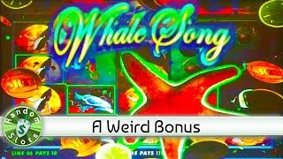Whale Song slot machine, encore bonus