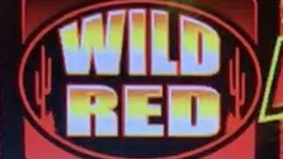 Quick Hit Wild Red LIVE PLAY MAX BET Slot Machine in Las Vegas!