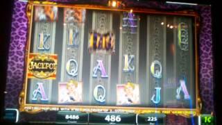 Pets free game bonus slot machine IGT