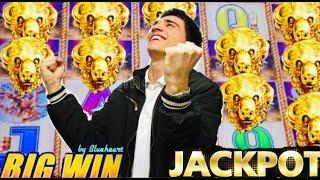 JACKPOT  BUFFALO GOLD Slot machine  JACKPOT HANDPAY!