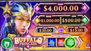 ️ New - Buffalo Princess WA VLT slot machine, bonus