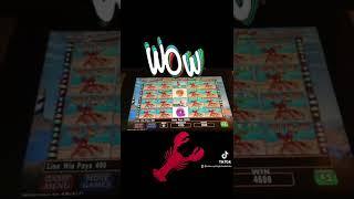 Massive Lobstermania Skot Machine Jackpot #staceyshighlimitslots #slotmachines #casino