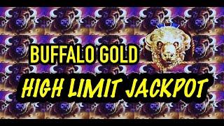 JACKPOT HANDPAY: HIGH LIMIT BUFFALO GOLD SESSION $12 BETS #jackpot #handpay