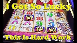 Buffalo Gold | It's All About Luck & I Got Lucky
