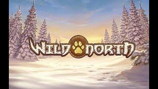 Wild North Online Slot from Play'n Go
