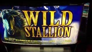 BIG WIN - Wild Stallion Slot Machine Bonus