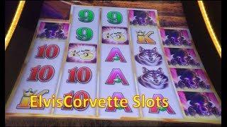 Buffalo Grand | Rare - 3 Bonus Wheels In Same Bonus| Big Wins