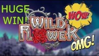 WILD FLOWER (BIG TIME GAMING) HUGE WIN!!! INSANE MULTIPLIER POTENTIAL!! HAPPY NEW YEAR!