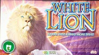 White Lion WA VLT slot machine, bonus