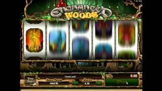 Enchanted Woods - Onlinecasinos.Best