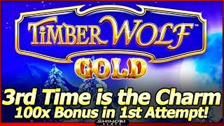 TimberWolf Gold Slot - Big Win Free Spins Bonus!  3rd Time Is The Charm, Live Play and Bonuses