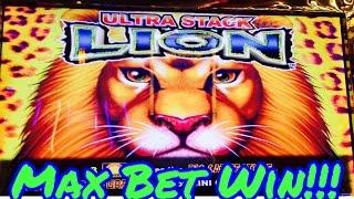 BIG WIN!! Ultra Stack Lion Slot Machine, Max Bet Bonuses, Full Screen Win!! Live Play! By Aruze
