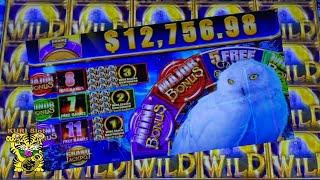 UNFRIENDLY OWLS but I KNOW YOU LOVE ME !FORTUNE OWL Slot (IGT) $4.00 Bet$225 Free Play栗 Yaamava'