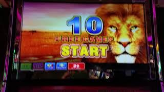 Big Win!!!! Mighty Lion Bonus!