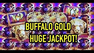 HUGE JACKPOT HANDPAY ON BUFFALO GOLD Max Bet