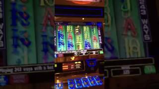 Cash Cove Bonus Games$!$! High limit spins!