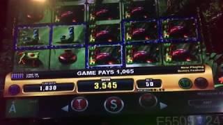 Jungle Riches Slot Machine Bonus