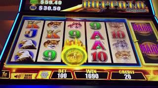 Aristocrat FAST CASH BUFFALO Slot Machine Bonus & Re Triggers