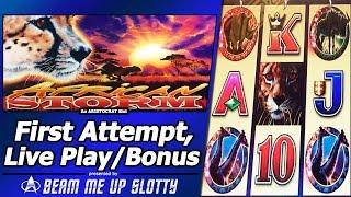 African Storm Slot - Live Play and Free Spins Bonuses in my First Attempt