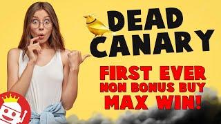 FIRST EVER 65,000X DEAD CANARY NON BONUS BUY MAX WIN!