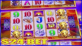 BUFFALO GOLD SLOT MACHINE • $24 BET HIGH LIMIT BONUS
