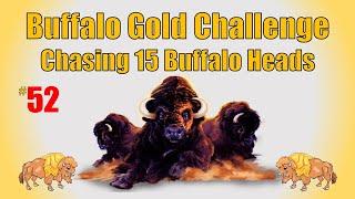 Buffalo Gold Challenge - Chasing 15 Buffalo Heads #52