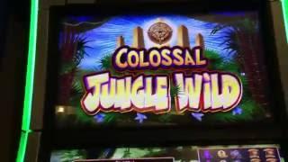 COLOSSAL Jungle Wild #ARBY LIVE PLAY Slot Machine at Harrahs in Las Vegas #ARBY
