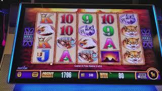 **HUGE SURPRISE!!! $100 LIVE PLAY WONDER 4 SLOT Buffalo Gold, Deluxe, Miss Kitty - 9/5/17 Part 2