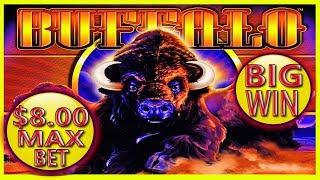 BIG WIN BUFFALO  $8.00 MAX BET BONUS SLOT MACHINE