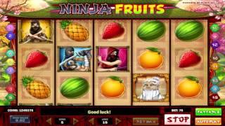 Ninja Fruits slot machine by Play'n Go | Game preview by Slotozilla
