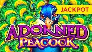 JACKPOT HANDPAY! Adorned Peacock Slot - HIGH LIMIT ACTION!