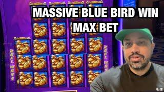 BLUE BIRD HUGE WIN DOUBLE BLESSINGS SLOT AT RIVER SPIRIT CASINO IN TULSA ! MAX BET $8.80!