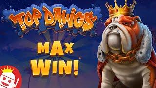TOP DAWG$  LUCKY PLAYER LANDS 25,000X MAX WIN!