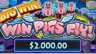 FIRST LOOK WIN PIGS FLY LIVE PLAY 3X BONUSES